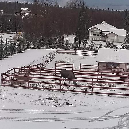 Alaska Sundance Retreat Bed & Breakfast Анкоридж Экстерьер фото